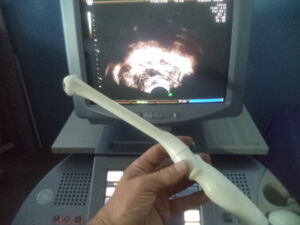 GE MEDICAL - IC5-9H