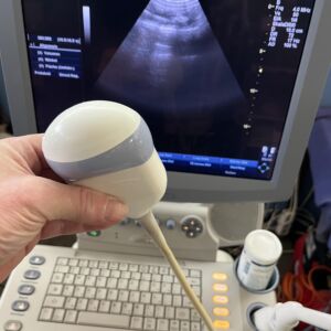 GE MEDICAL - Logiq P5