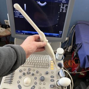 GE MEDICAL - Logiq P5