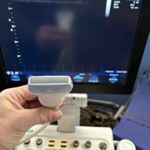GE MEDICAL - Vivid S6